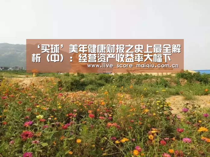 买球